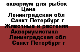 аквариум для рыбок › Цена ­ 2 300 - Ленинградская обл., Санкт-Петербург г. Животные и растения » Аквариумистика   . Ленинградская обл.,Санкт-Петербург г.